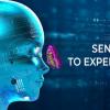 Sensorium公司开发替代宇宙 并邀请用户体验数字进化