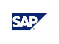 SAP发布了其HANA实时数据库管理系统的快速版本