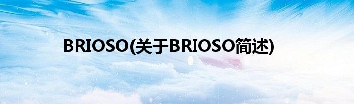 BRIOSO(对于BRIOSO简述)