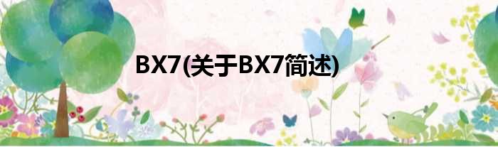 BX7(对于BX7简述)