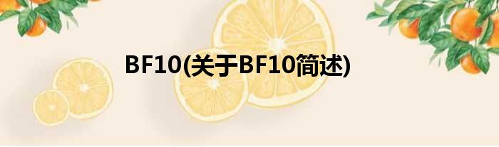 BF10(对于BF10简述)