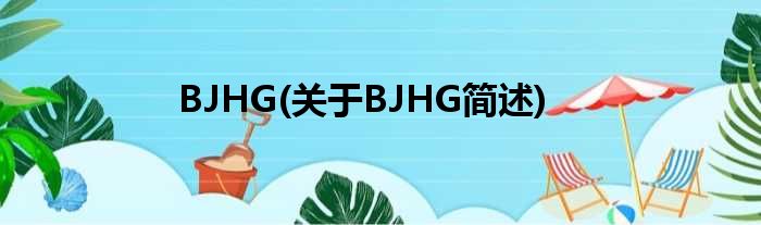 BJHG(对于BJHG简述)