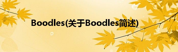 Boodles(对于Boodles简述)