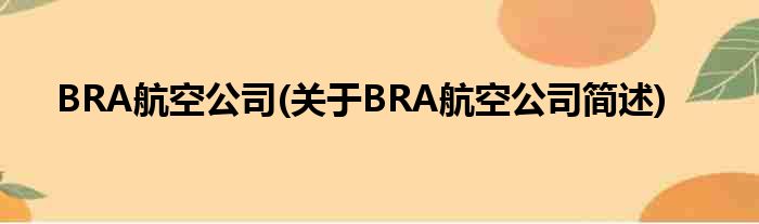 BRA航空公司(对于BRA航空公司简述)