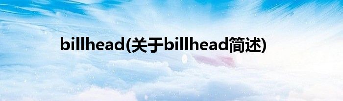 billhead(对于billhead简述)