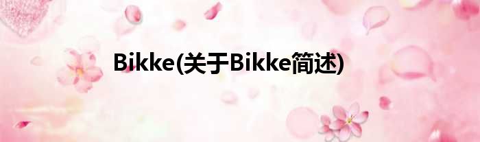 Bikke(对于Bikke简述)