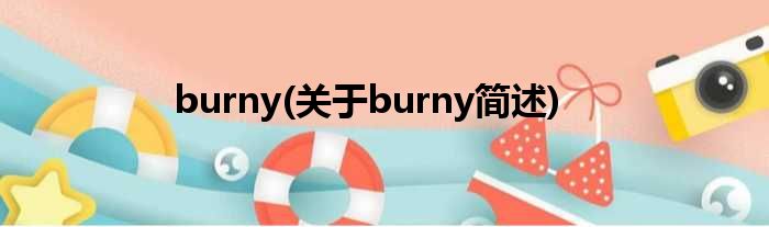 burny(对于burny简述)