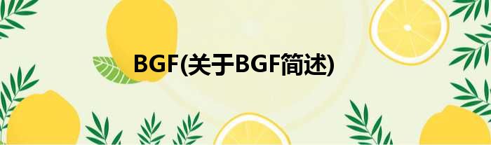 BGF(对于BGF简述)