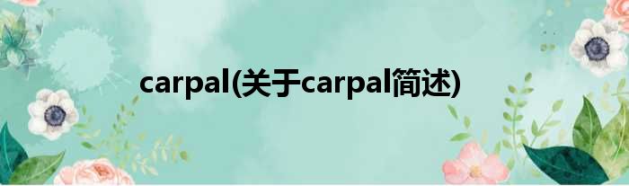 carpal(对于carpal简述)