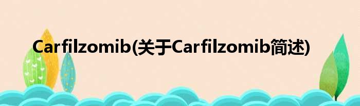 Carfilzomib(对于Carfilzomib简述)