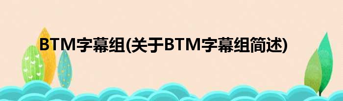BTM字幕组(对于BTM字幕组简述)