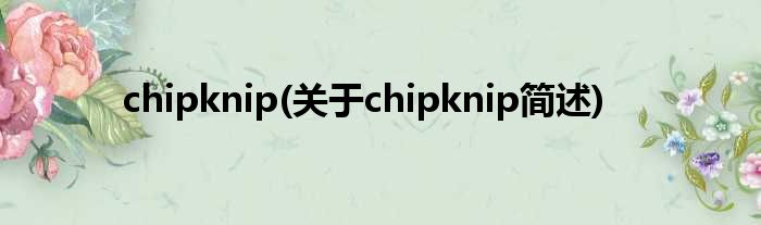 chipknip(对于chipknip简述)