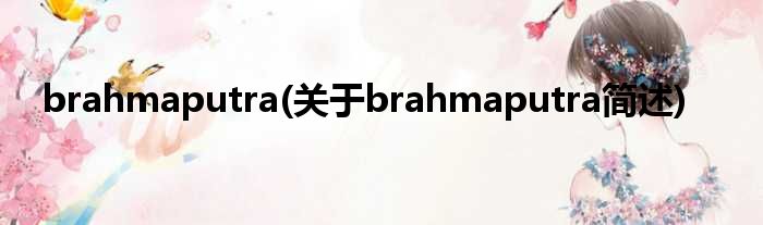brahmaputra(对于brahmaputra简述)