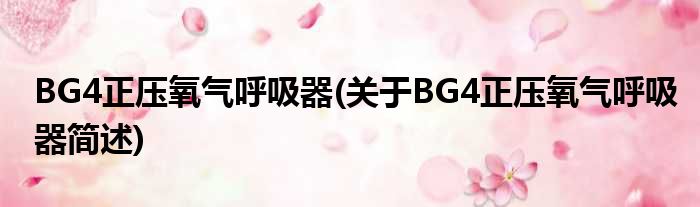 BG4正压氧气呼吸器(对于BG4正压氧气呼吸器简述)