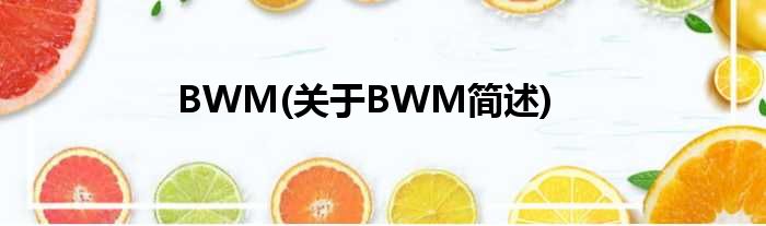 BWM(对于BWM简述)