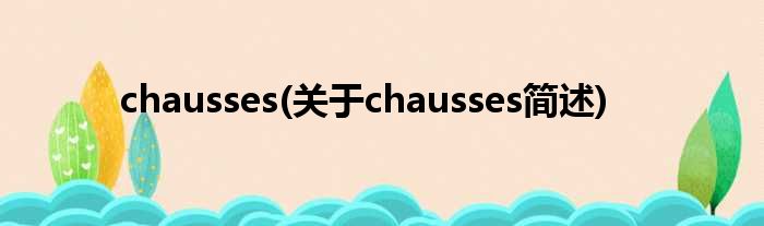 chausses(对于chausses简述)