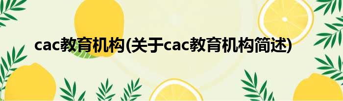 cac教育机构(对于cac教育机构简述)