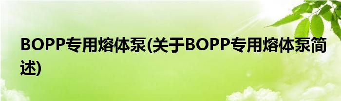 BOPP专用熔体泵(对于BOPP专用熔体泵简述)