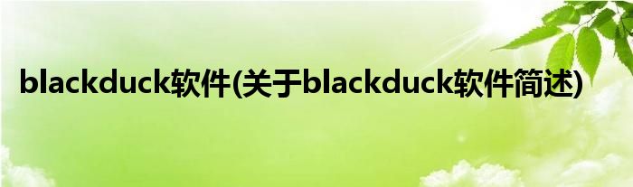 blackduck软件(对于blackduck软件简述)