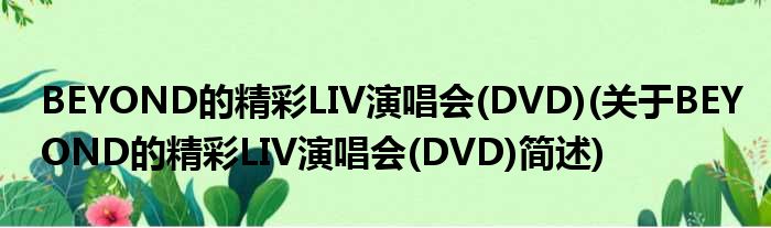 BEYOND的精采LIV演唱会(DVD)(对于BEYOND的精采LIV演唱会(DVD)简述)