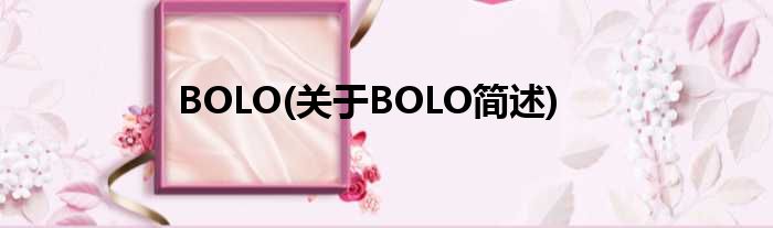 BOLO(对于BOLO简述)