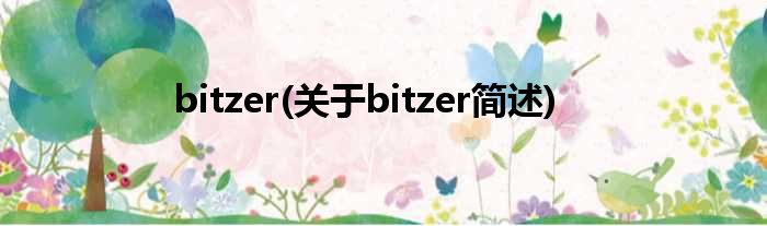 bitzer(对于bitzer简述)
