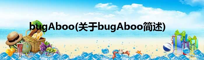 bugAboo(对于bugAboo简述)