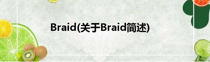 Braid(对于Braid简述)
