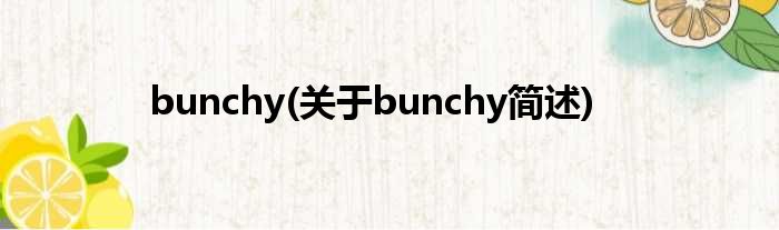 bunchy(对于bunchy简述)