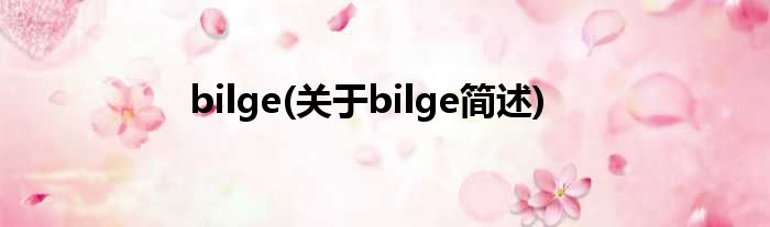 bilge(对于bilge简述)