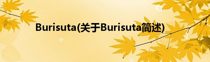 Burisuta(对于Burisuta简述)