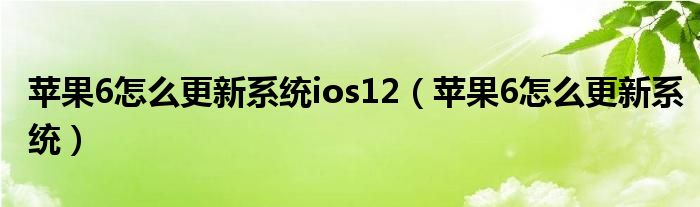 苹果6奈何样更新零星ios12（苹果6奈何样更新零星）