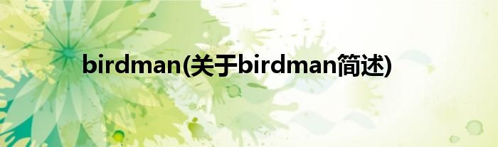 birdman(对于birdman简述)