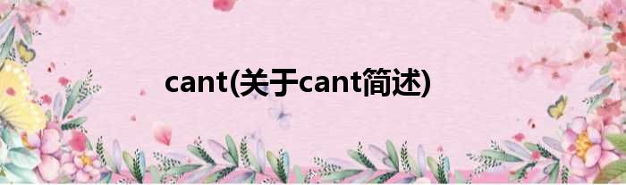 cant(对于cant简述)