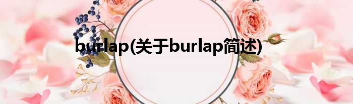 burlap(对于burlap简述)