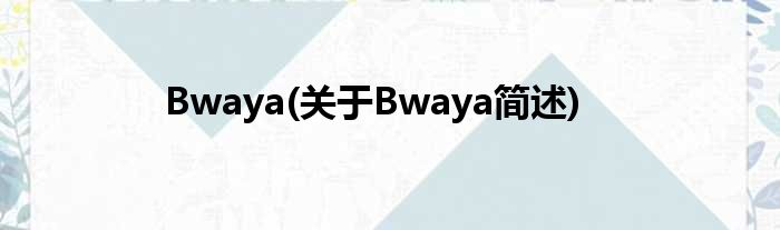 Bwaya(对于Bwaya简述)