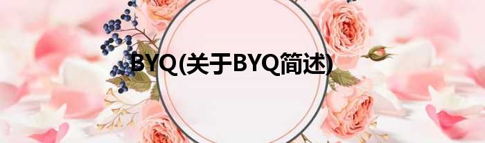 BYQ(对于BYQ简述)