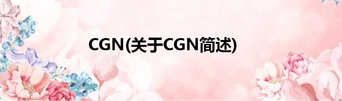 CGN(对于CGN简述)