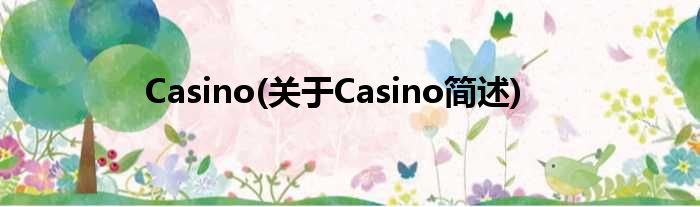 Casino(对于Casino简述)