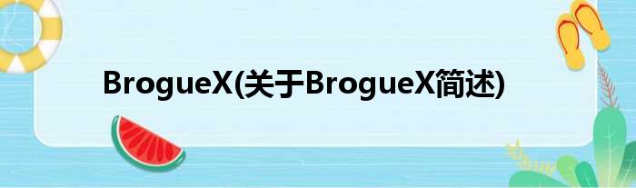 BrogueX(对于BrogueX简述)