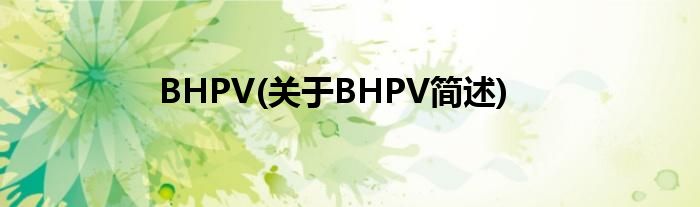 BHPV(对于BHPV简述)