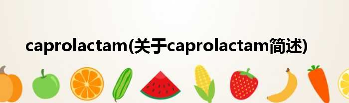 caprolactam(对于caprolactam简述)
