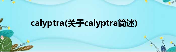 calyptra(对于calyptra简述)