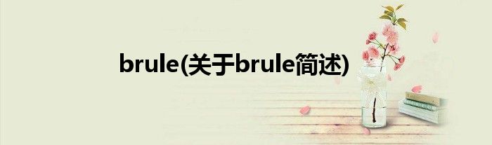 brule(对于brule简述)