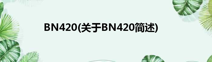 BN420(对于BN420简述)