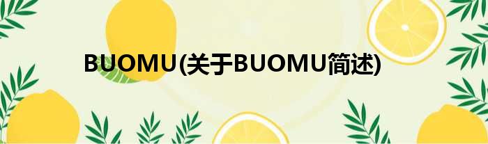 BUOMU(对于BUOMU简述)