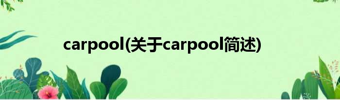 carpool(对于carpool简述)