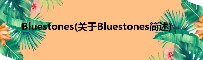 Bluestones(对于Bluestones简述)