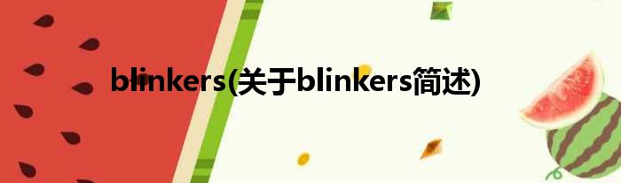 blinkers(对于blinkers简述)