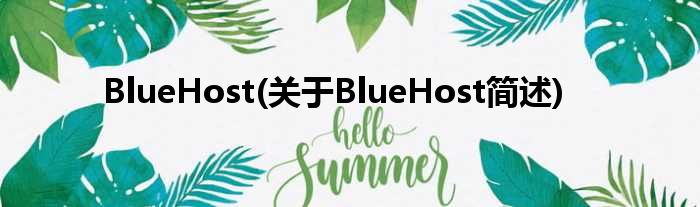 BlueHost(对于BlueHost简述)
